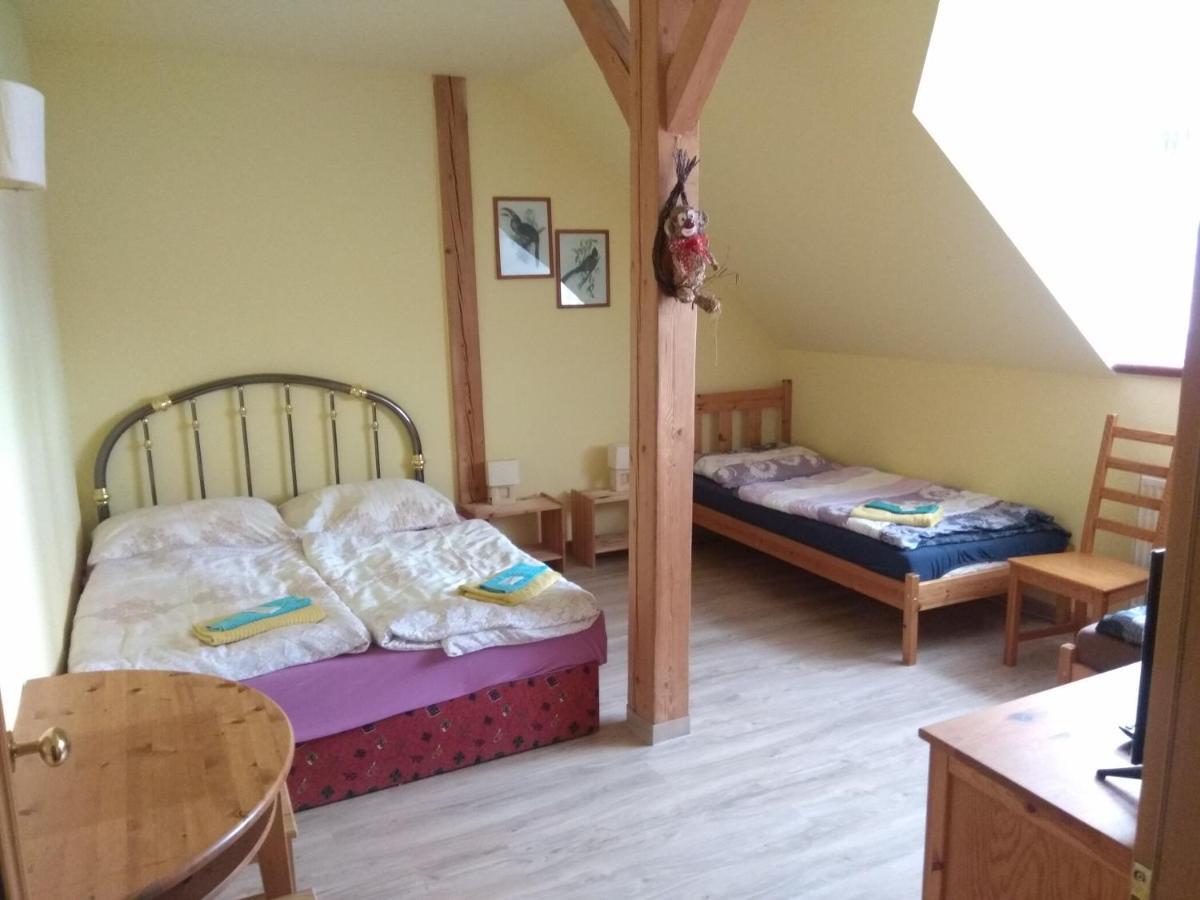 Hotel Statek